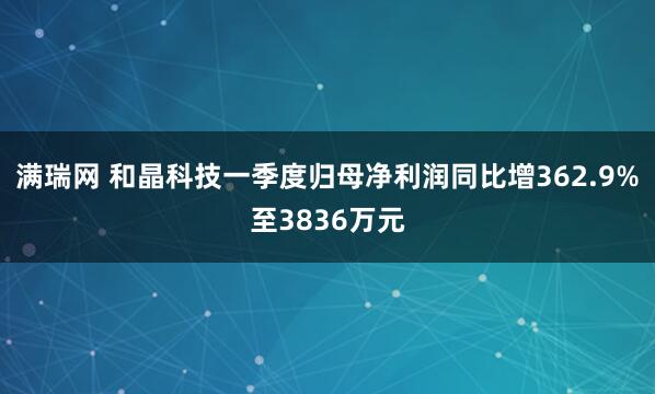 满瑞网 和晶科技一季度归母净利润同比增362.9%至3836万元